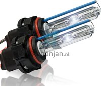 H16 5202 5201 xenonlamp 1 jaar garantie