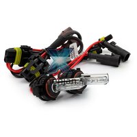 H16 5202 5201 xenonlamp 1 jaar garantie