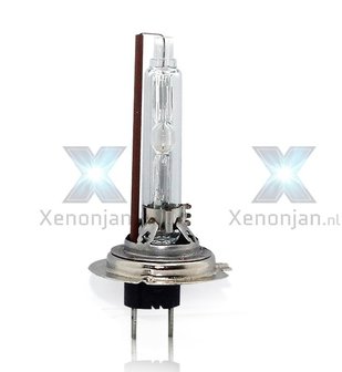 H7 xenonlamp met metalen voet
