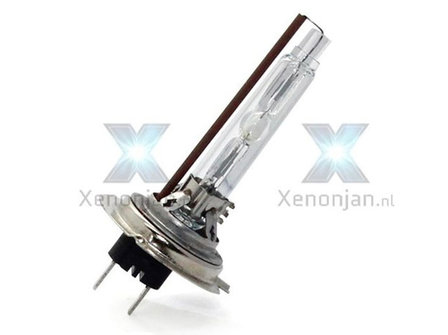 H7 xenon lamp met metalen voet