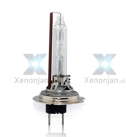 H7 xenonlamp met metalen voet